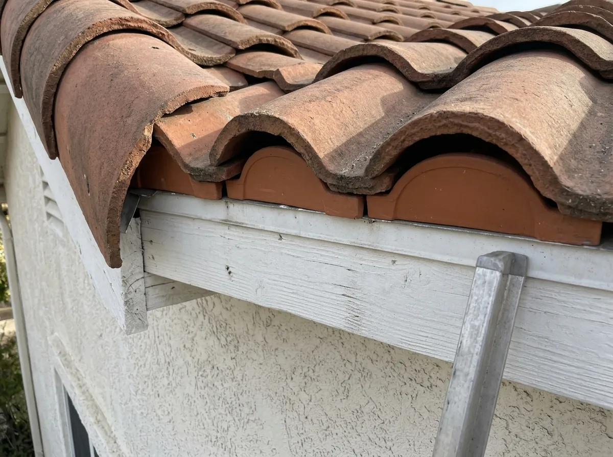 Eave of a Spanish S-tile roof with a pre-formed bird stop closing the gaps under the first course